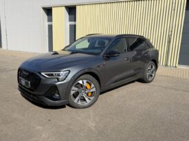 Audi e-tron 55 300kW! Quattro! S-Line! ČR!